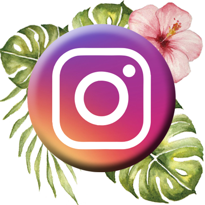 Link To Ethereal Sphynx Cat Instagram